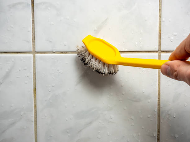 Best Mold Cleaning Services  in Brookside, AL