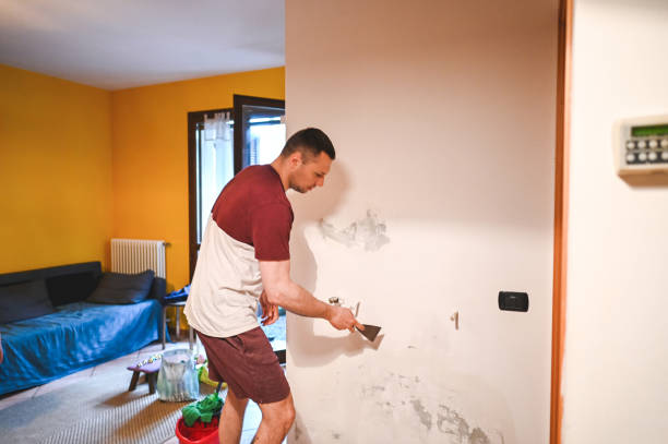 Best Mold Damage Repair  in Brookside, AL